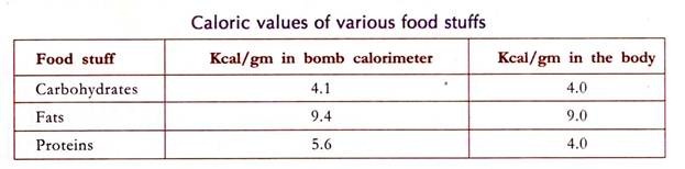 Caloric Value of Food