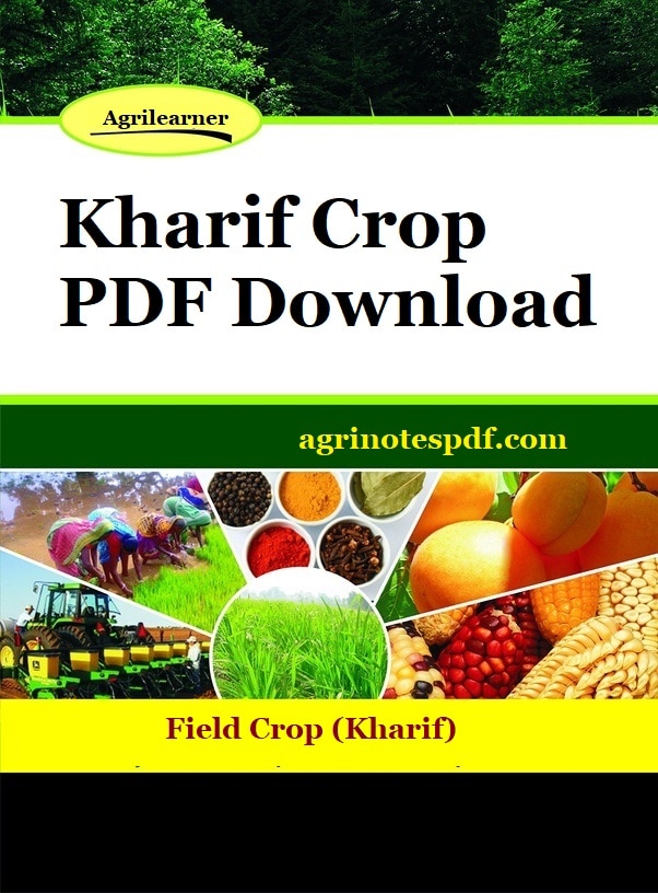 Kharif Crop