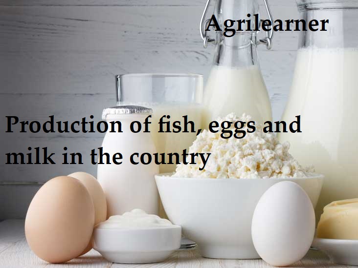 Production of ﬁsh, eggs and milk
