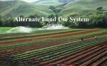 Land Use System