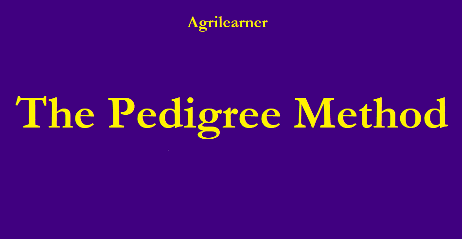 Pedigree Method 